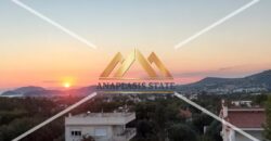 Ενοικίαση Μεζονέτας, Π. Φώκαια, 350 τ.μ.| 3.600 € /μήνα