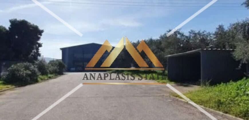 Πώληση Βιομηχανικού Κτηρίου, Ασπρόπυργος, 1.200 τ.μ. | 1.500.000 €