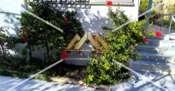 Ενοικίαση Μονοκατοικίας, Αρτέμιδα, 70 τ.μ.| 550€/μήνα