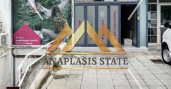 Καλλιθέα, ενοικιάζεται επαγγελματικό κτίριο 300 τ.μ.,| 3.000€