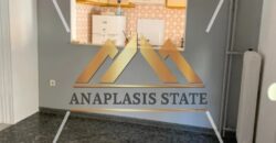 Ενοικίαση διαμερίσματος 1ου ορόφου, Νέος Κόσμος, 55 τ.μ.| 550 €